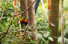 Biglietti per Loro Parque